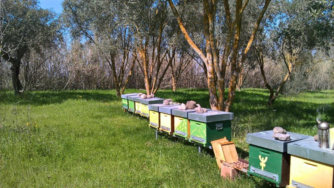 Marrùbiu B&B Terra E Paglia المظهر الخارجي الصورة